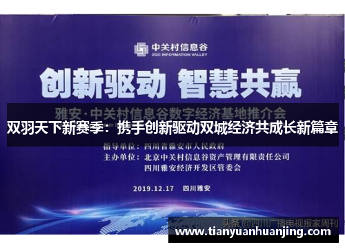 双羽天下新赛季：携手创新驱动双城经济共成长新篇章