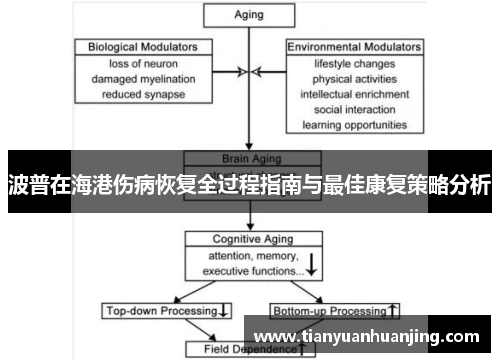 波普在海港伤病恢复全过程指南与最佳康复策略分析