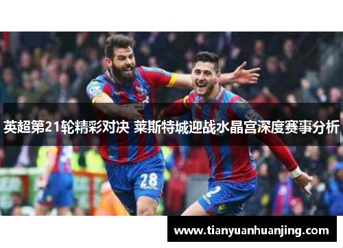 英超第21轮精彩对决 莱斯特城迎战水晶宫深度赛事分析