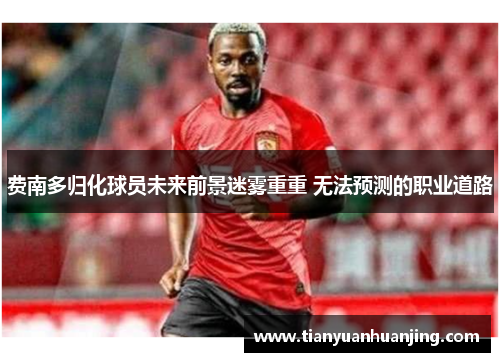 费南多归化球员未来前景迷雾重重 无法预测的职业道路